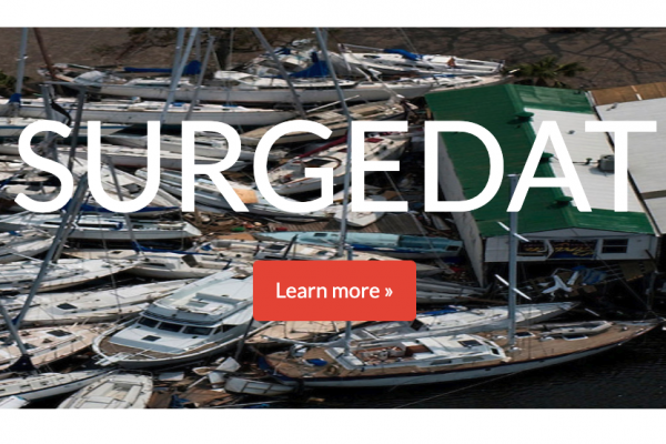 Surgedat Homepage Thumbnail 2